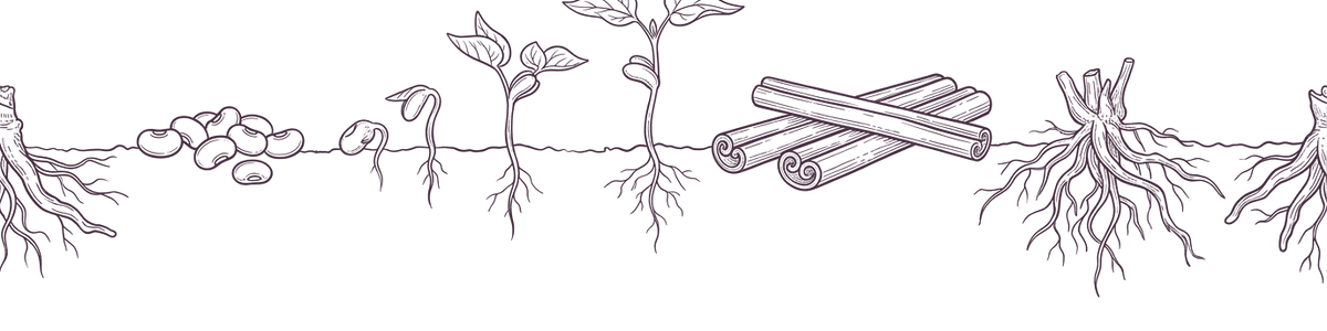 Ayurvedic element: earth — botanical line illustration