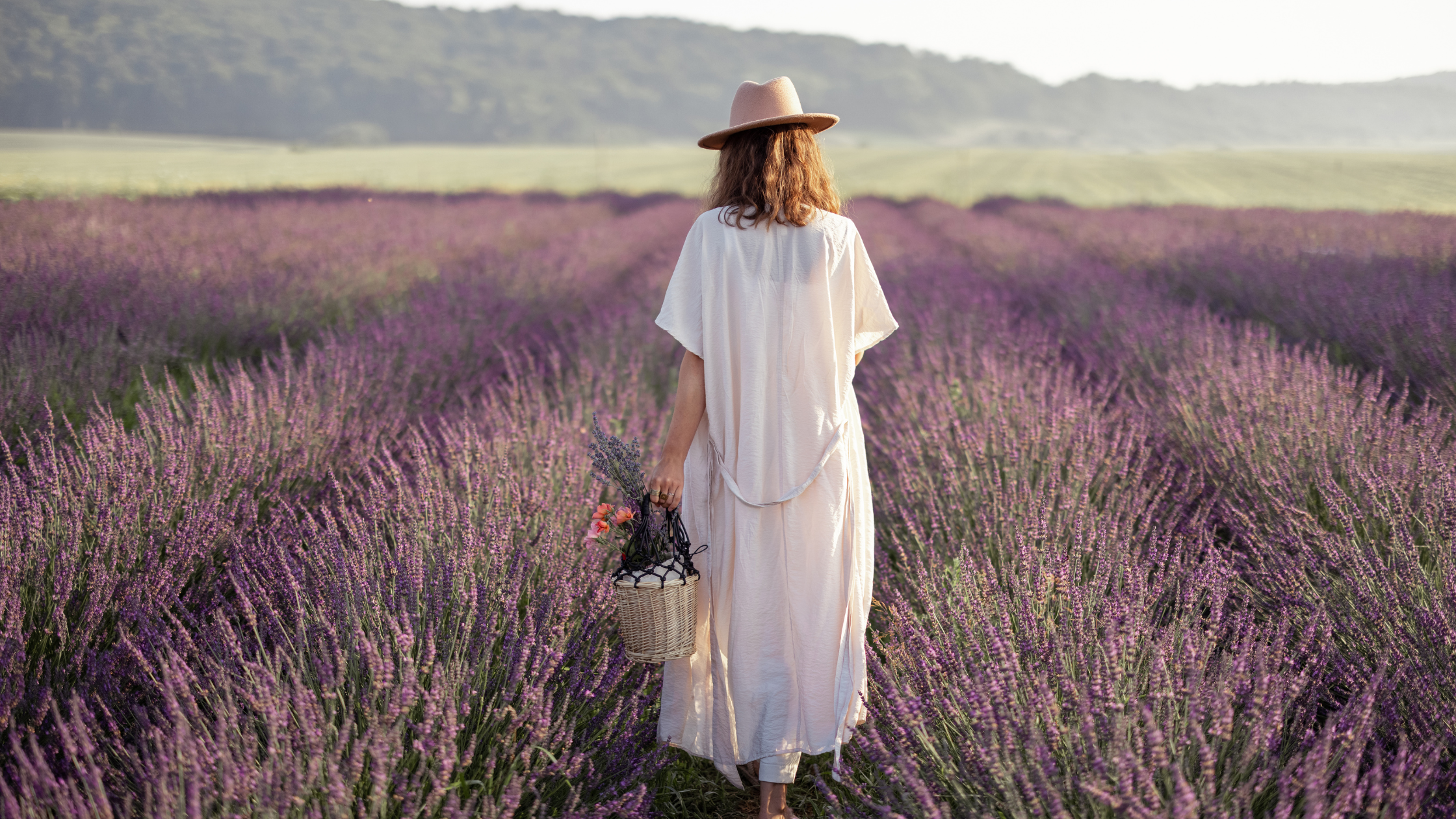 Perimenopause and Gut Health: The Hidden Root Cause of Hormonal Imbalance