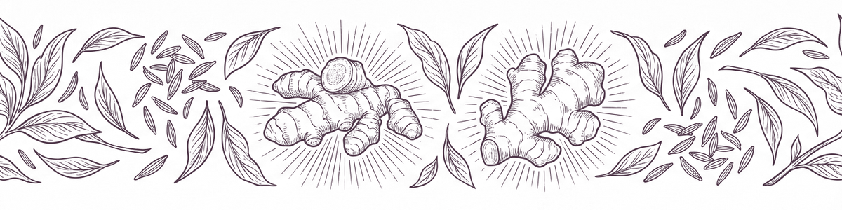 Ayurvedic element: fire — botanical line illustration